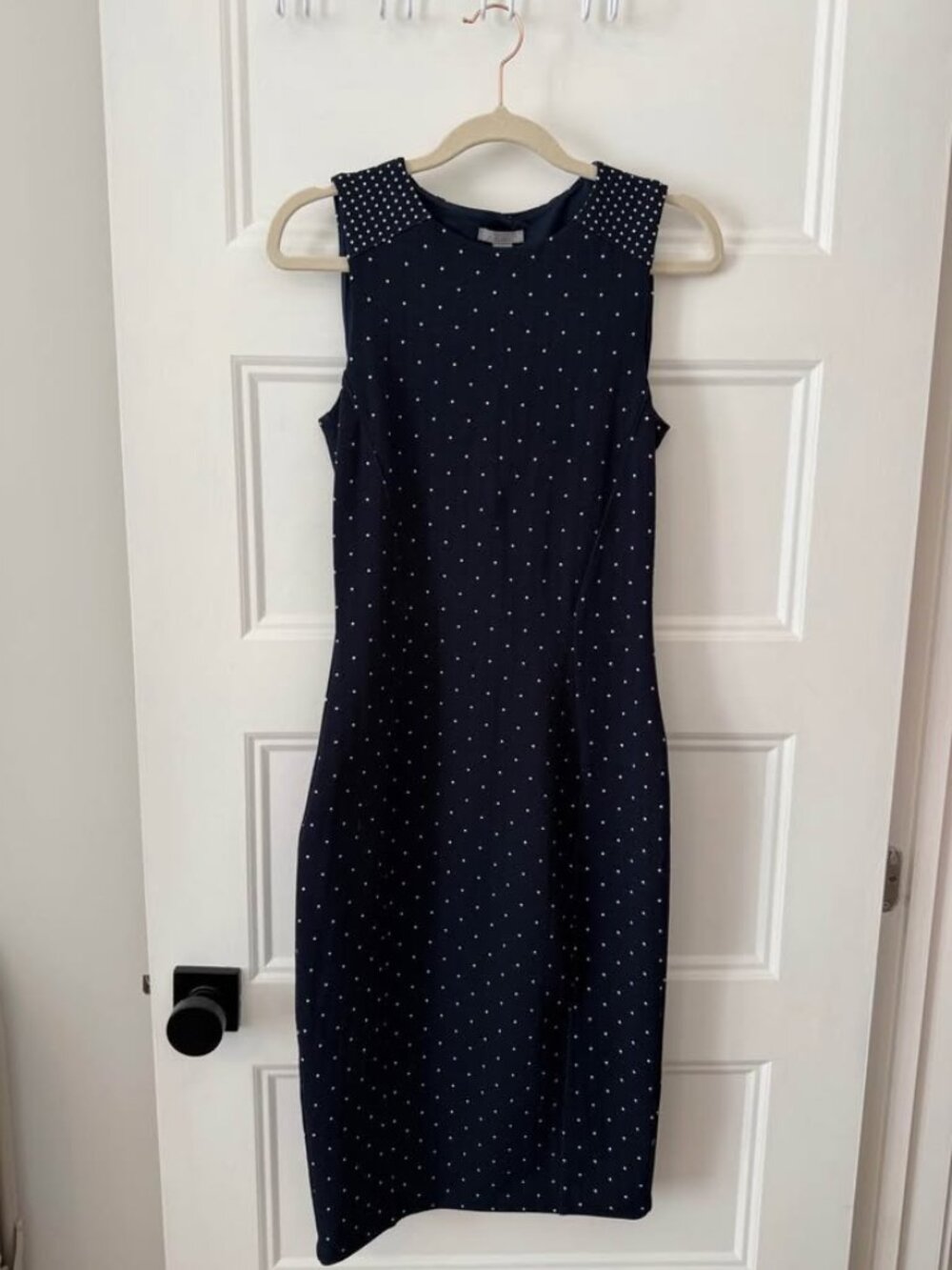 Wrinkle-Resistant Fitted Dress